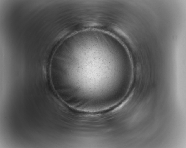 X0000089751305200707051808