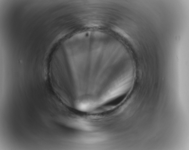 X0000089751306200707051808