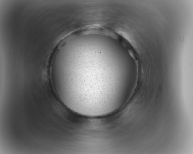 X0000089751308200707051808