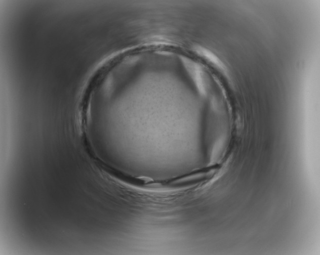 X0000089751310200707051808