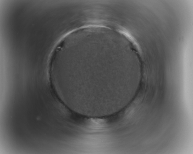 X0000089751312200707051808