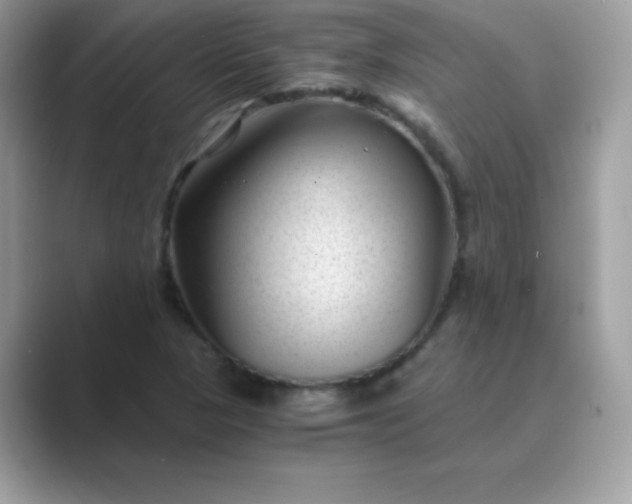 X0000089751313200707051808