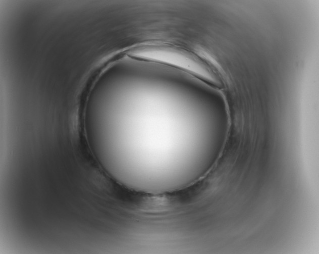 X0000089751315200707051808