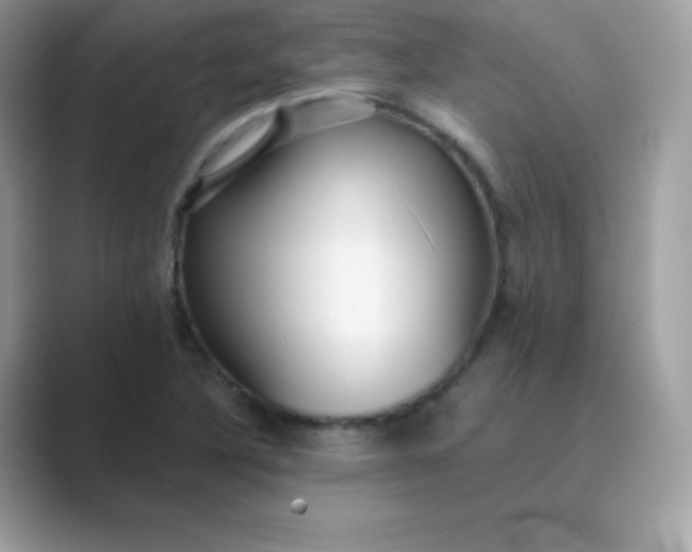 X0000089751316200707051808