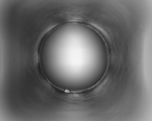 X0000089751317200707051808