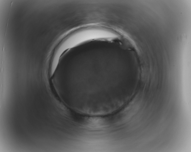 X0000089751319200707051808