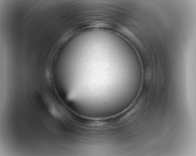 X0000089751321200707051808