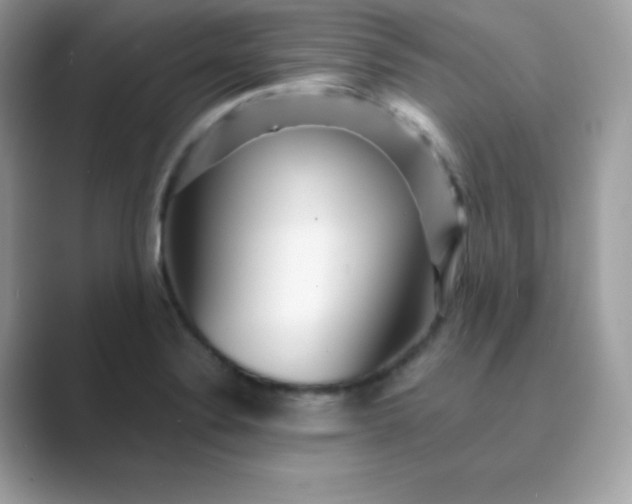 X0000089751324200707051808