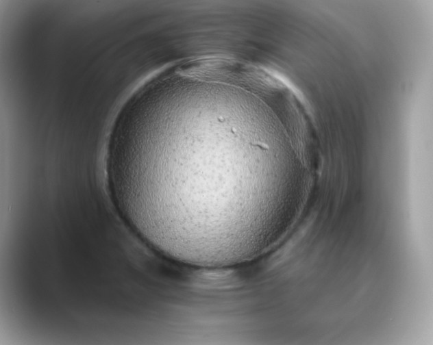 X0000089751325200707051808