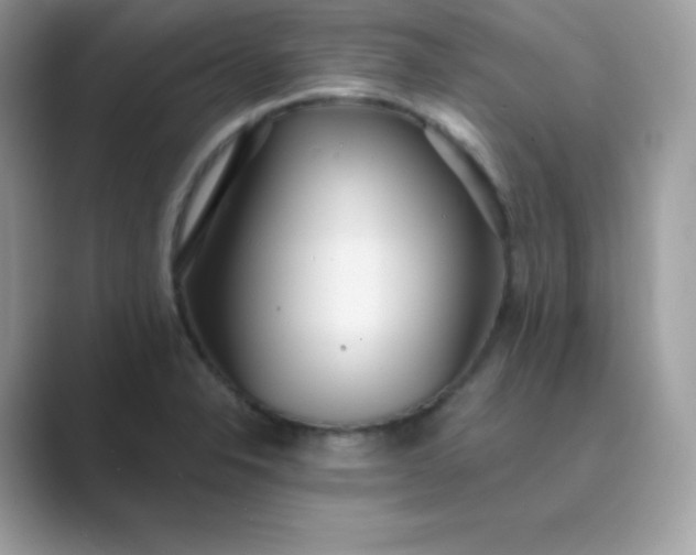 X0000089751326200707051808