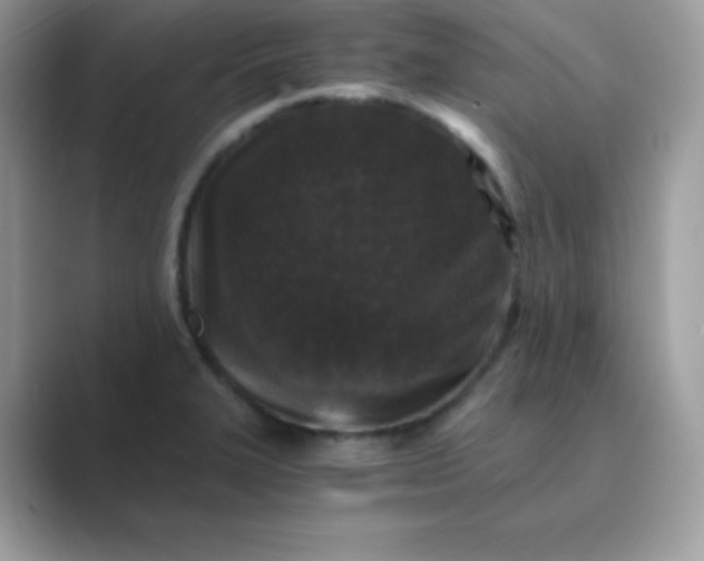 X0000089751327200707051808