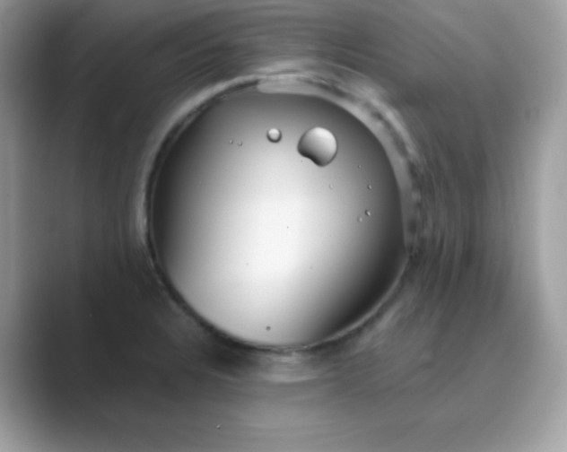 X0000089751328200707051808