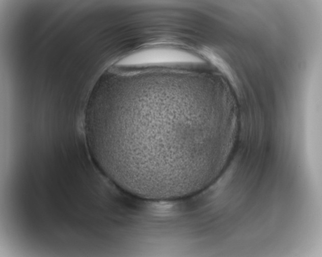 X0000089751329200707051808