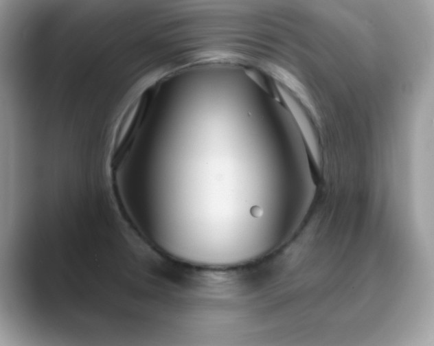 X0000089751330200707051808