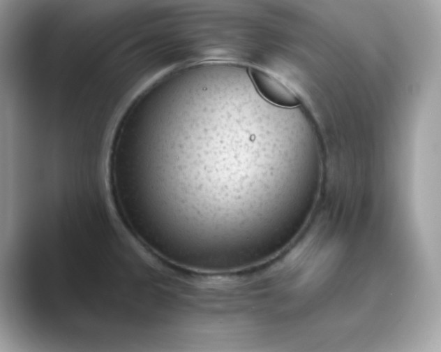 X0000089751333200707051808