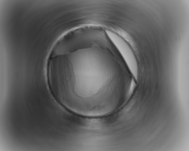 X0000089751334200707051808