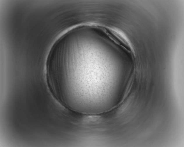 X0000089751335200707051808