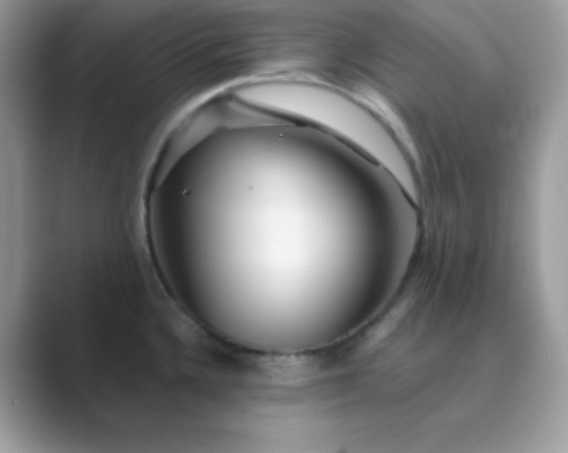 X0000089751336200707051808