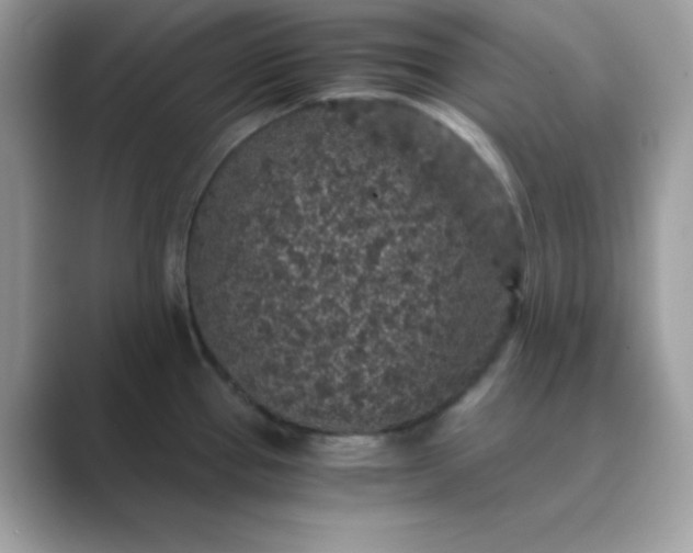 X0000089751337200707051808