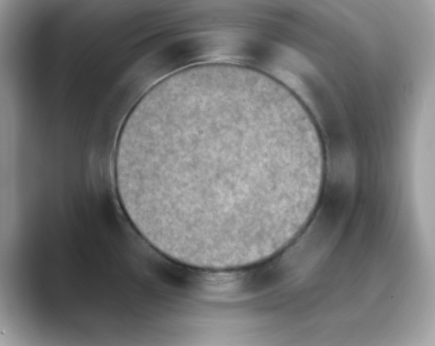 X0000089751338200707051808