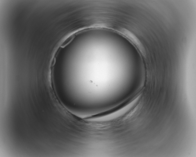 X0000089751340200707051808