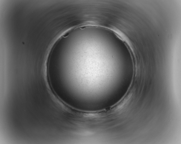 X0000089751341200707051808