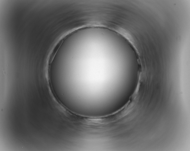 X0000089751342200707051808