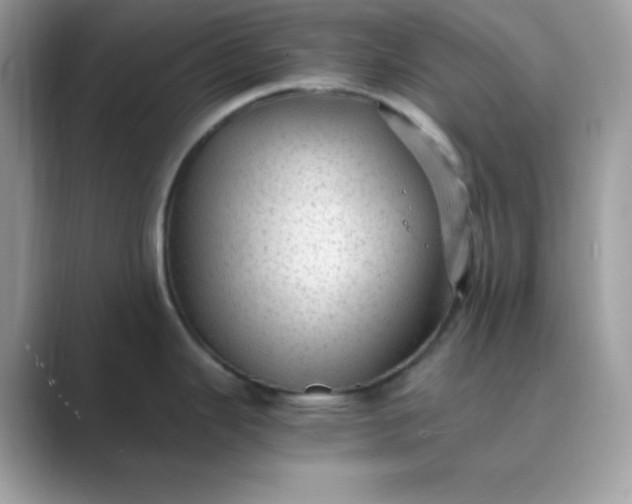 X0000089751343200707051808