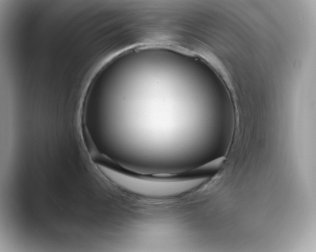 X0000089751344200707051808