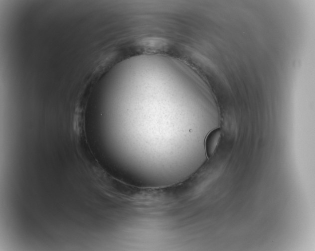 X0000089751346200707051808