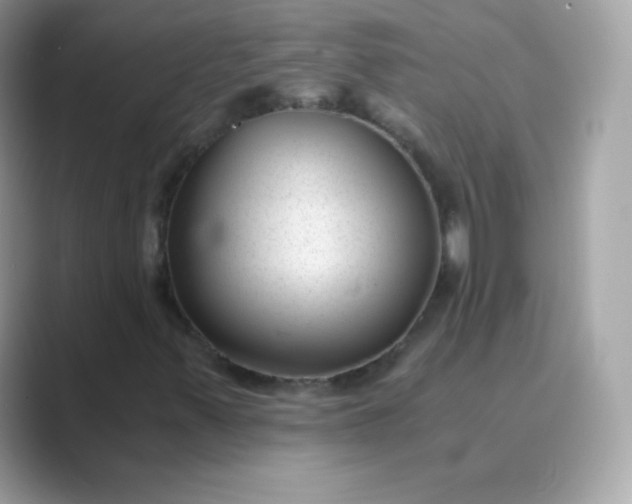 X0000089751347200707051808