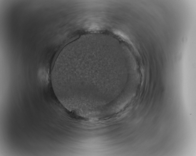 X0000089751348200707051808