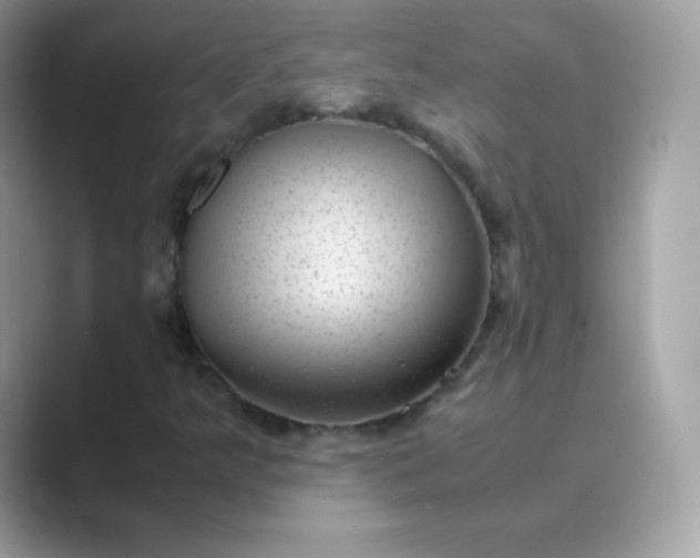 X0000089751349200707051808