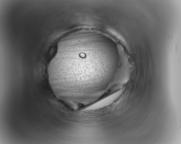 X0000089751352200707051808