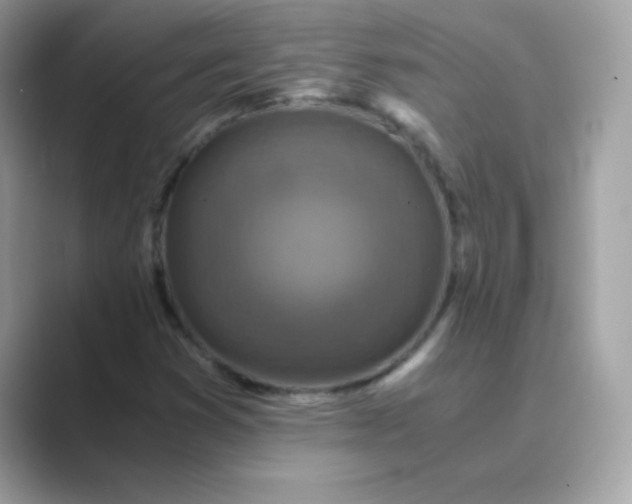 X0000089751353200707051808