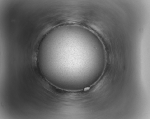 X0000089751355200707051808