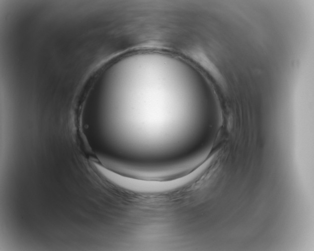 X0000089751356200707051808