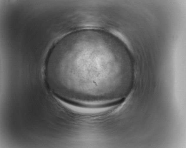 X0000089751357200707051808