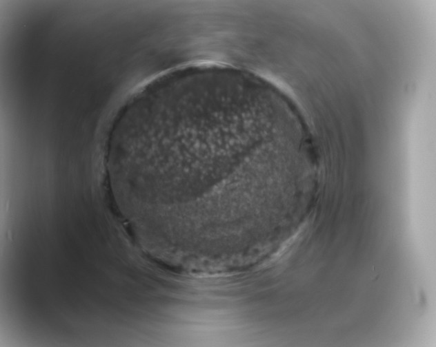 X0000089751359200707051807