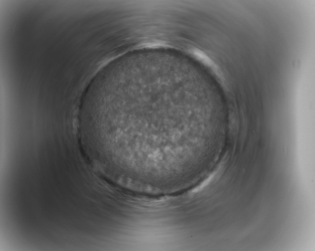 X0000089751361200707051807