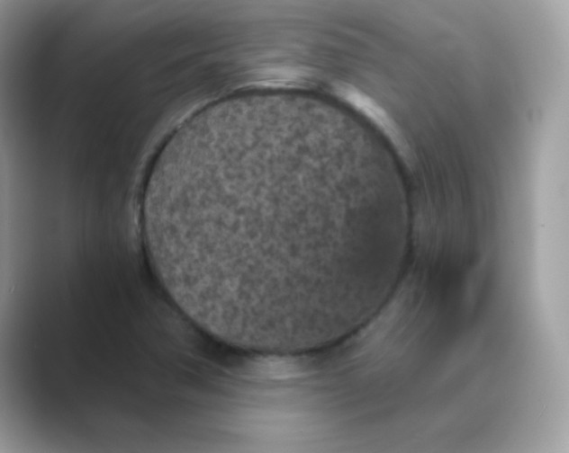 X0000089751362200707051807