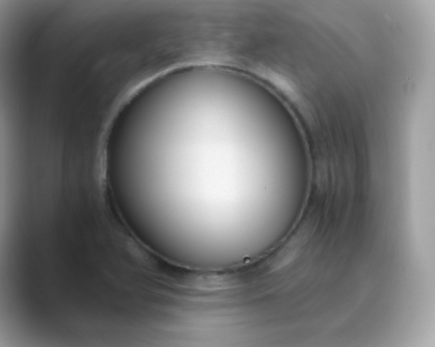 X0000089751366200707051807