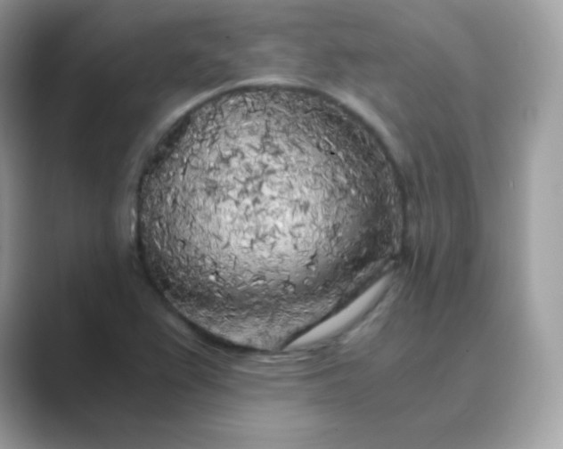 X0000089751367200707051807