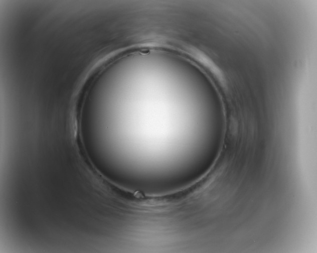 X0000089751368200707051807