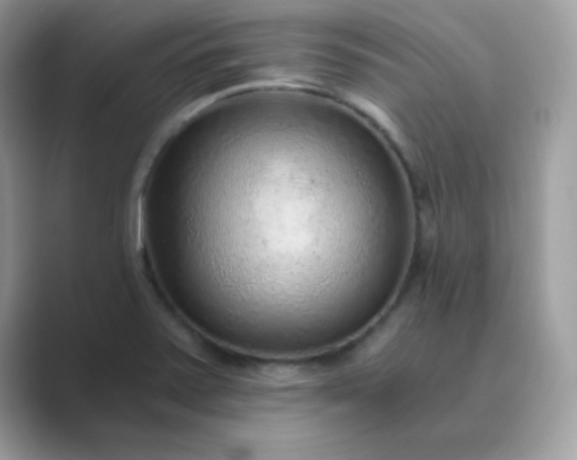 X0000089751371200707051807