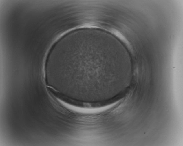 X0000089751372200707051807