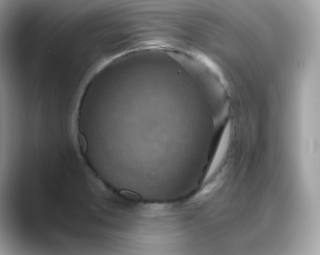 X0000089751373200707051807