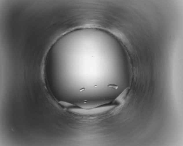 X0000089751374200707051807