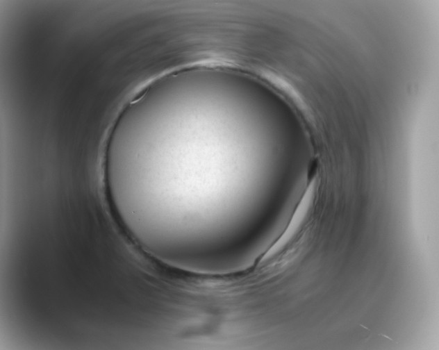 X0000089751375200707051807