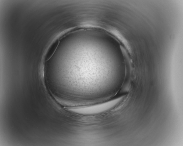 X0000089751376200707051807